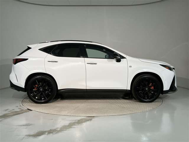 NX350h Fスポーツ