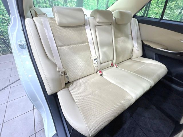 �㕔���Ȃ��C�ɂȂ�悤�ȃL�Y�E�����ւ��蓙�A�傫�ȃ_���[�W�͂Ȃ��A�ǍD�ȏ�Ԃł��B