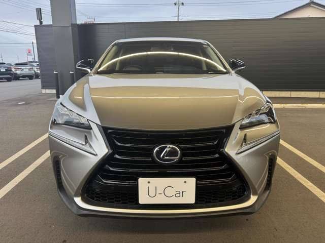 NX300h アーバンスタイル