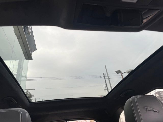 ���p�m���}�~�b�N�K���X���[�t:�唗�͂̃p�m���}���[�t�́A�㕔���Ȃɂ܂ő����Ă���A�J���I�ȋ�Ԃ����y���݂��������܂��B