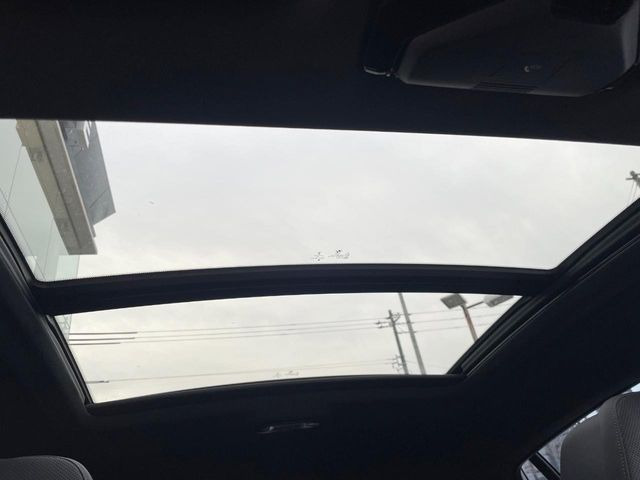 ���p�m���}�~�b�N�K���X���[�t:�唗�͂̃p�m���}���[�t�́A�㕔���Ȃɂ܂ő����Ă���A�J���I�ȋ�Ԃ����y���݂��������܂��B