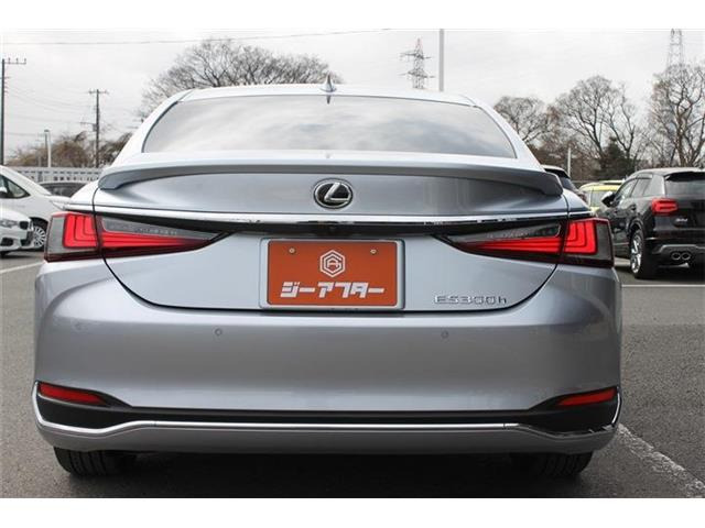 ���Ǝҗl�ւ̔̔��͂��f�肳���Ă��������܂��B �Ԍ������ԗ��̏ꍇ�́A�Ԍ����擾�������x�������z�ŕ\�����Ă���܂��B