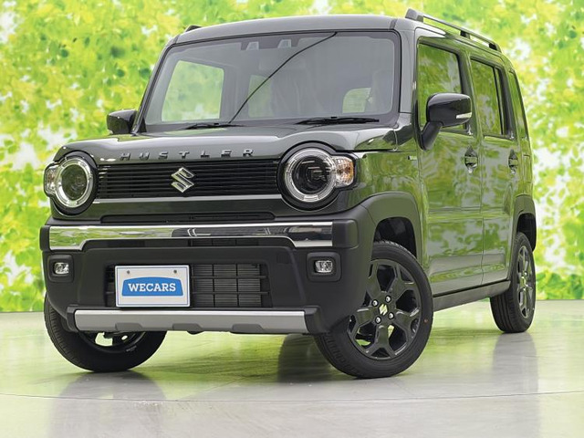 ハスラータフワイルド