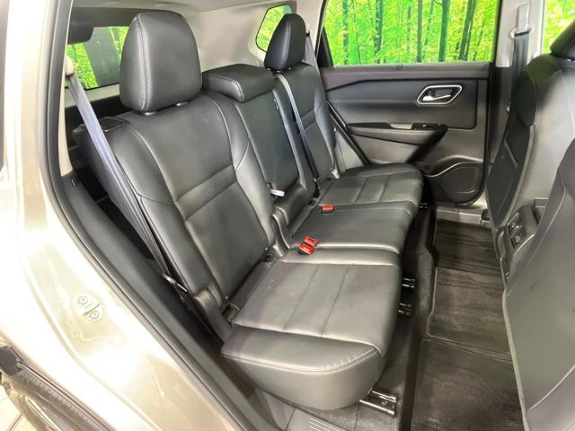 �㕔���Ȃ��C�ɂȂ�悤�ȃL�Y�E�����ւ��蓙�A�傫�ȃ_���[�W�͂Ȃ��A�ǍD�ȏ�Ԃł��B