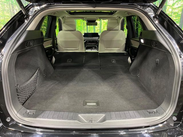 �y�n���Y�t���[�p���[�o�b�N�h�A�z���A�o���p�[�����ɑ�����o�����ꂷ�邾���Ńo�b�N�h�A�������ŊJ�����肪�ו��łӂ������Ă��鎞�ł����N���N�J���삪�s���܂�!