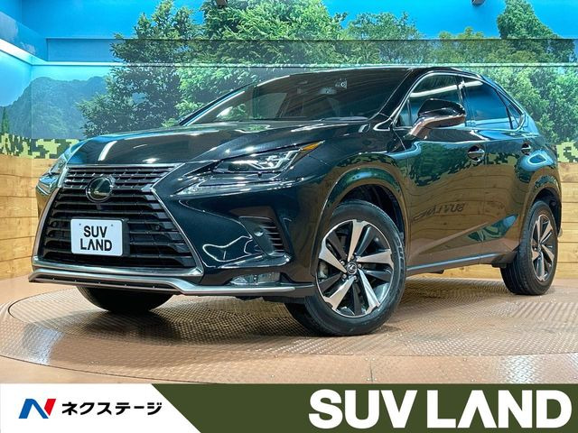 NX（レクサス）300 スパイス&amp;シック 中古車画像
