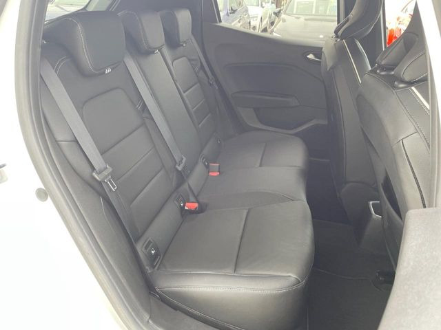 ���㕔���Ȃ��C�ɂȂ�悤�ȃL�Y�E�����ւ��蓙�A�傫�ȃ_���[�W�͂Ȃ��A�ǍD�ȏ�Ԃł��B