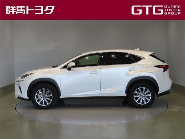 NX300h Iパッケージ 4WD