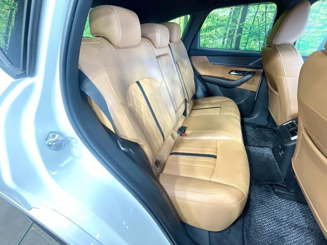 �㕔���Ȃ��C�ɂȂ�悤�ȃL�Y�E�����ւ��蓙�A�傫�ȃ_���[�W�͂Ȃ��A�ǍD�ȏ�Ԃł��B