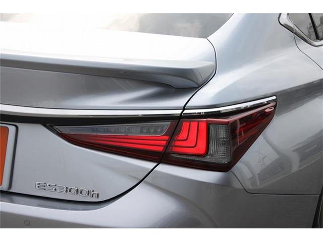 ���Ǝҗl�ւ̔̔��͂��f�肳���Ă��������܂��B �Ԍ������ԗ��̏ꍇ�́A�Ԍ����擾�������x�������z�ŕ\�����Ă���܂��B