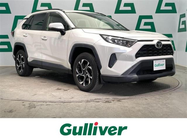 RAV42.0 X