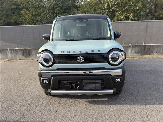 ハスラータフワイルド