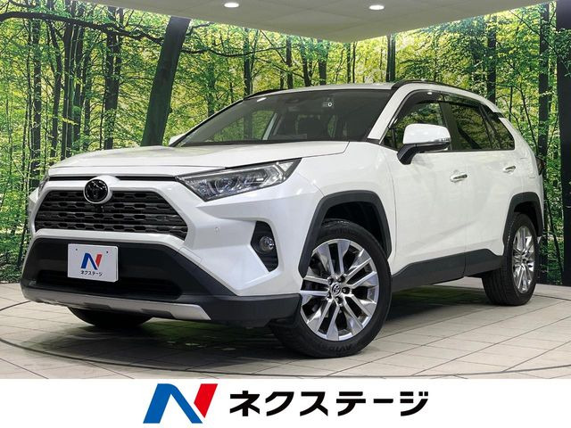 RAV4(トヨタ) 2.0 G Zパッケージ 4WD 中古車画像