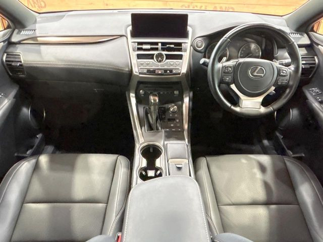 NX300 スパイス&amp;シック