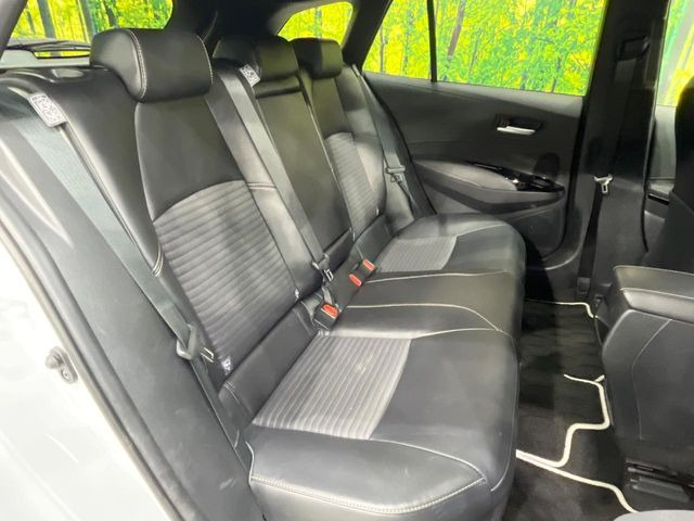 �㕔���Ȃ��C�ɂȂ�悤�ȃL�Y�E�����ւ��蓙�A�傫�ȃ_���[�W�͂Ȃ��A�ǍD�ȏ�Ԃł��B