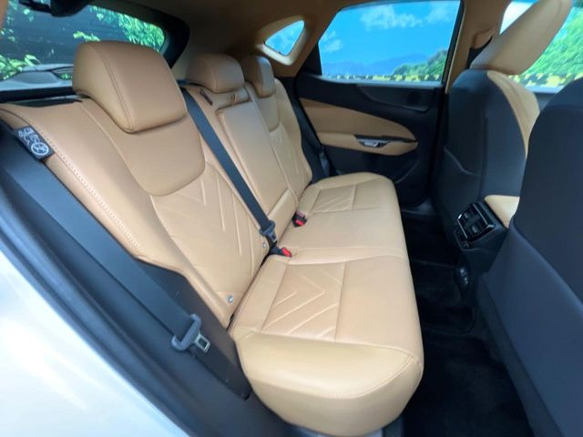 �㕔���Ȃ��C�ɂȂ�悤�ȃL�Y�E�����ւ��蓙�A�傫�ȃ_���[�W�͂Ȃ��A�ǍD�ȏ�Ԃł��B