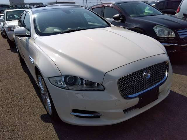 XJXJ プレミアム ラグジュアリー