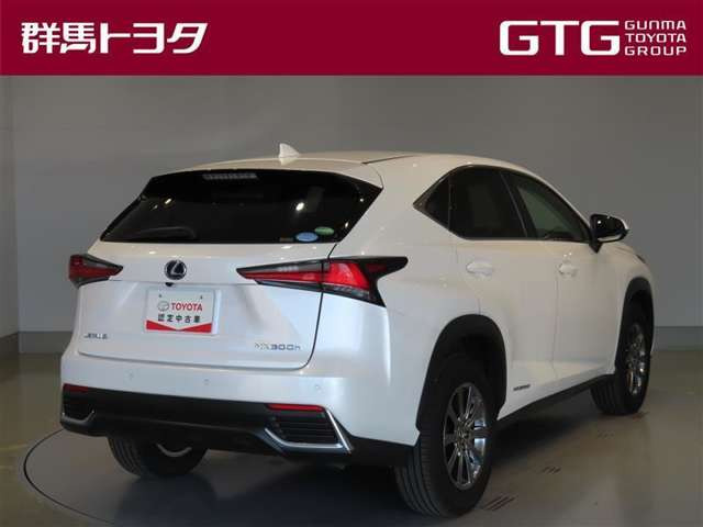 NX300h Iパッケージ 4WD