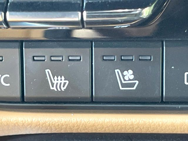 �y�V�[�g�x���`���[�V�����z�ď�͗��������ł��K��w���̔M�⃀����h���A�~�̓G�A�R�������������܂��ă|�J�|�J��!�G�߂��킸���K�ɉ߂����܂��B