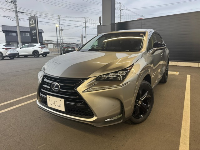 NX300h アーバンスタイル