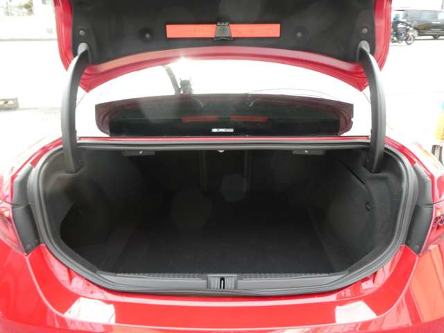 ���Q�b�W�X�y�[�X�̊Ԍ����L�X�����i�̂��������ɁA���W���[�ɁA���d���ɂ��劈���1��ł��􍂂��������đ傫���ו����^��ł���闊���p�[�g�i�[�ł��ˁ�