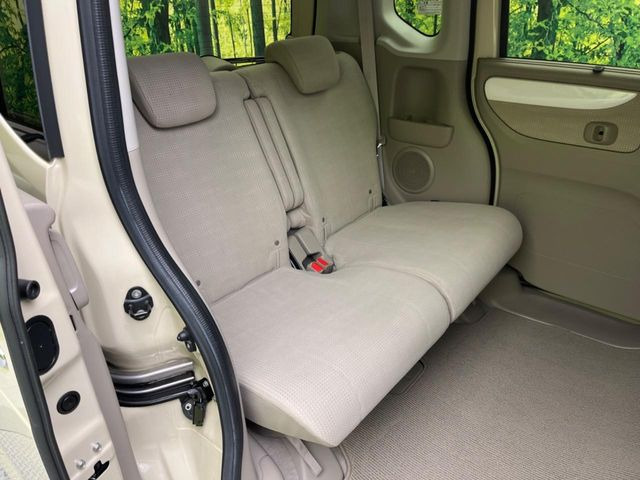 �㕔���Ȃ��C�ɂȂ�悤�ȃL�Y�E�����ւ��蓙�A�傫�ȃ_���[�W�͂Ȃ��A�ǍD�ȏ�Ԃł��B