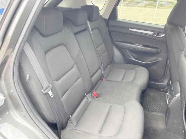 �㕔���Ȃ��C�ɂȂ�悤�ȃL�Y�E�����ւ��蓙�A�傫�ȃ_���[�W�͂Ȃ��A�ǍD�ȏ�Ԃł��B