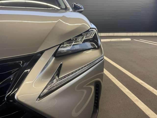 NX300h アーバンスタイル