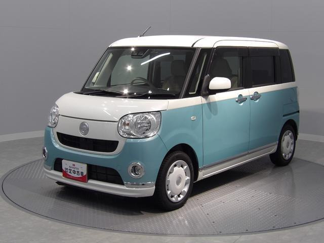 ムーヴキャンバスX リミテッド メイクアップ SAIII