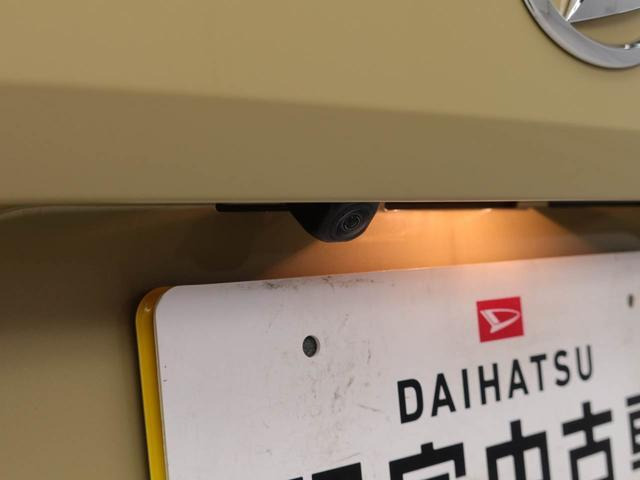 タフトG