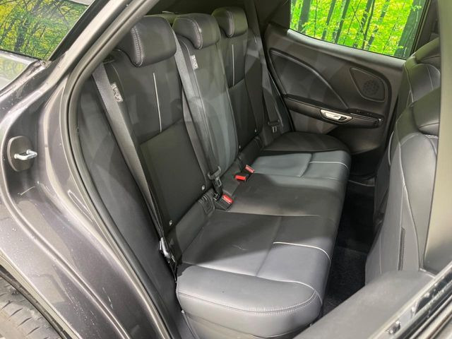 �㕔���Ȃ��C�ɂȂ�悤�ȃL�Y�E�����ւ��蓙�A�傫�ȃ_���[�W�͂Ȃ��A�ǍD�ȏ�Ԃł��B