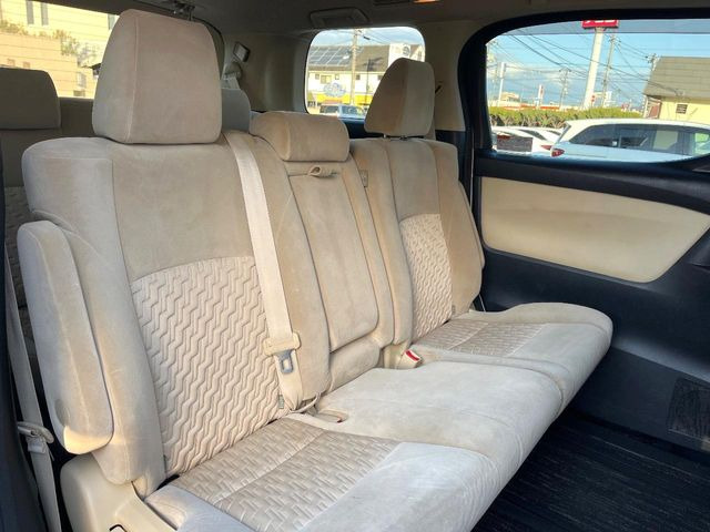 �㕔���Ȃ��C�ɂȂ�悤�ȃL�Y�E�����ւ��蓙�A�傫�ȃ_���[�W�͂Ȃ��A�ǍD�ȏ�Ԃł��B