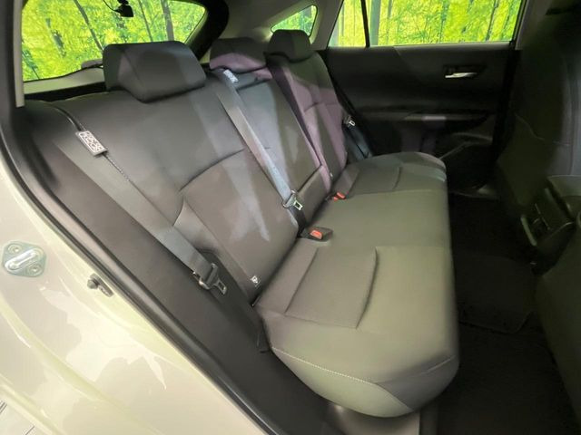 �㕔���Ȃ��C�ɂȂ�悤�ȃL�Y�E�����ւ��蓙�A�傫�ȃ_���[�W�͂Ȃ��A�ǍD�ȏ�Ԃł��B