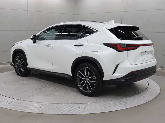 NX250 バージョンL