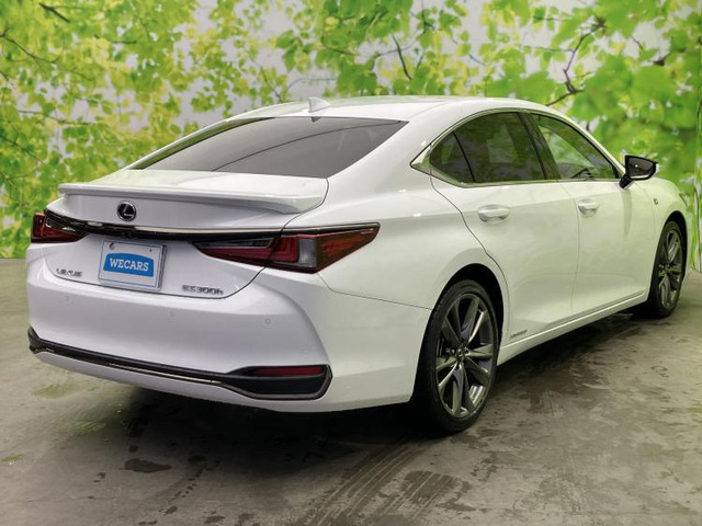 ES300h Fスポーツ