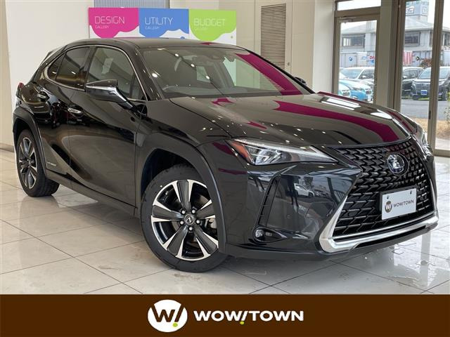 UX250h バージョンC