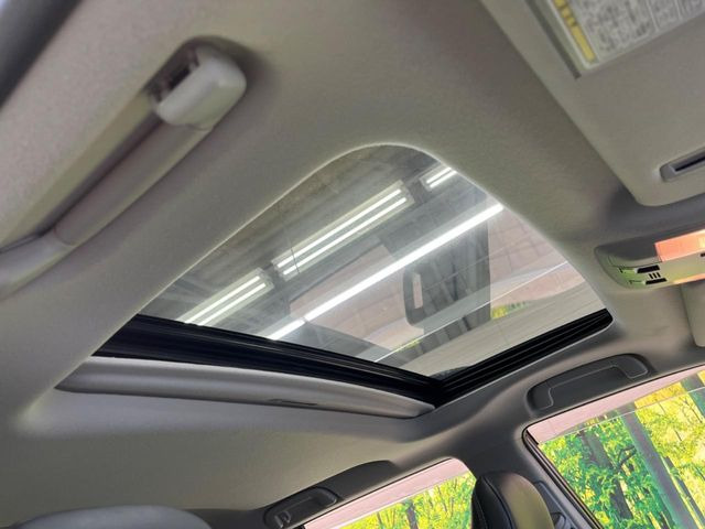 �y���[�����[�t�z�J���������Ղ�̊󏭑����A�T�����[�t����������Ă��܂�!�ԓ��ɖ�����������ꂽ��i�F���y���ވȊO�ɂ��A�ԓ��̋�C���ȒP�Ɋ��C�ł��ĉ��K�ł�!