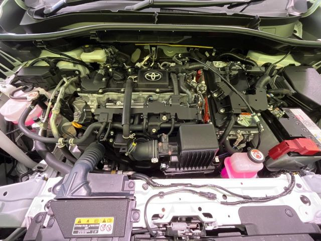 ���S���̃l�N�X�e�[�W���炨���񂹂��\��!�����̓X�܂ɓW�����Ă���N���}���C�ɂȂ�ꍇ���A�Ŋ��̓X�܂ł��������������Ƃ��\�ł�!���񎄂����ɗv�]������������������!���ʓr��p