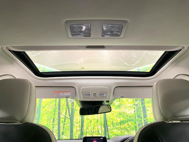 �y�T�����[�t�z�J���������Ղ�̊󏭑����A�T�����[�t����������Ă��܂�!�ԓ��ɖ�����������ꂽ��i�F���y���ވȊO�ɂ��A�ԓ��̋�C���ȒP�Ɋ��C�ł��ĉ��K�ł�!