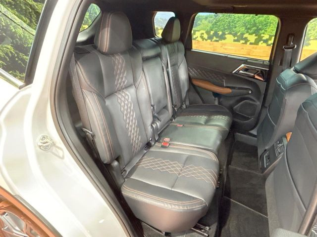 �㕔���Ȃ��C�ɂȂ�悤�ȃL�Y�E�����ւ��蓙�A�傫�ȃ_���[�W�͂Ȃ��A�ǍD�ȏ�Ԃł��B