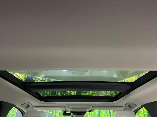 �y��^�T�����[�t�z�ԓ��̉��������C�ɏオ���^�̃p�m���}���[�t!�G�߂��킸�J���I�ŉ��K�ȃh���C�u�����y���݂��������܂��B���ʗʂ����Ȃ��󏭉��l�̍����l�C�̑����ł���