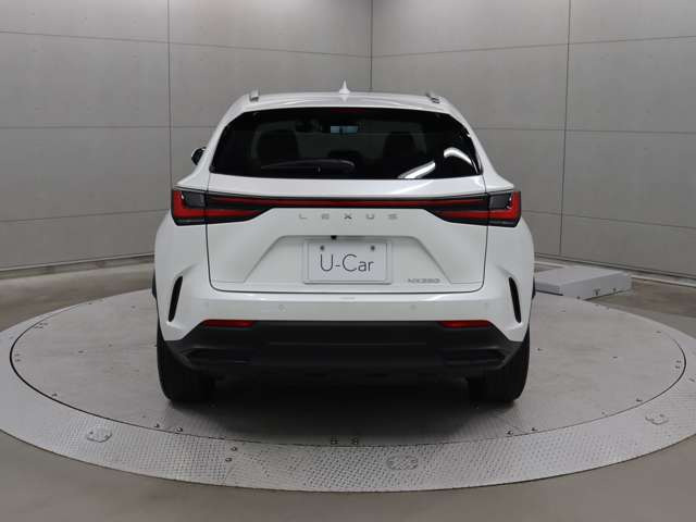 NX250 バージョンL