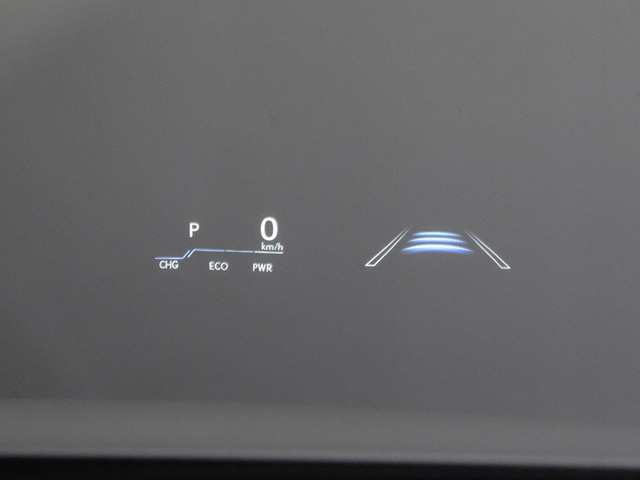 �J���[�w�b�h�A�b�v�f�B�X�v���C