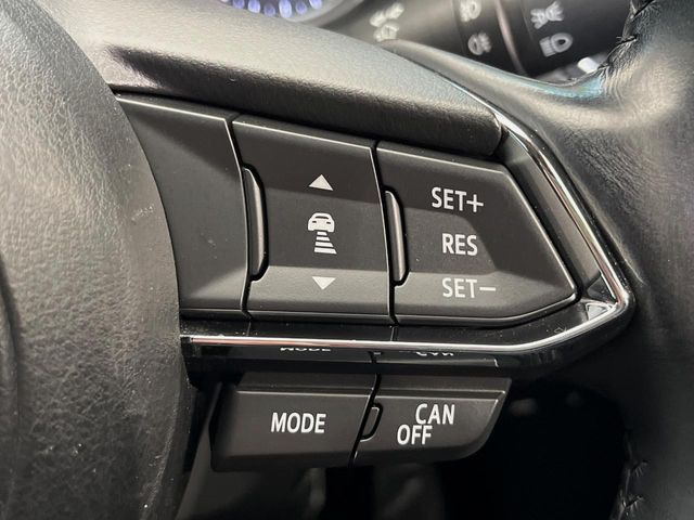 �y�}�c�_�E���[�_�[�N���[�Y�R���g���[���z�������H�ł̒��������s���y��!�����ő��x��ۂN���[�Y�R���g���[�����A�Փˌy���V�X�e���ƘA�g���A�O���̎ԗ������m���ĎԊԂ�ۂ悤�ɑ��x���߂��Ă���܂�!!