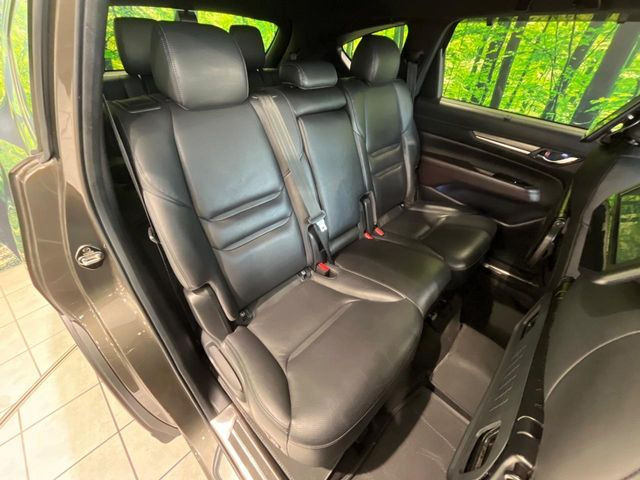 �㕔���Ȃ��C�ɂȂ�悤�ȃL�Y�E�����ւ��蓙�A�傫�ȃ_���[�W�͂Ȃ��A�ǍD�ȏ�Ԃł��B