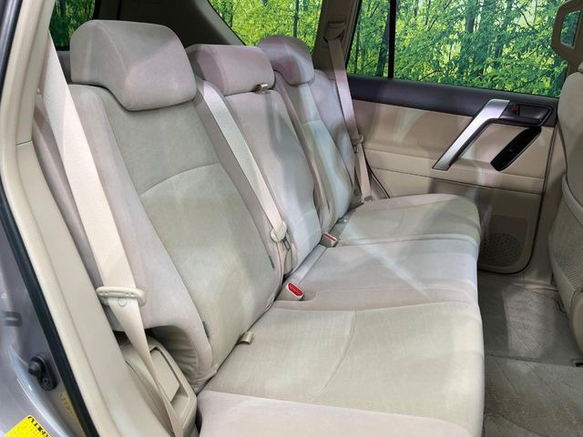 �㕔���Ȃ��C�ɂȂ�悤�ȃL�Y�E�����ւ��蓙�A�傫�ȃ_���[�W�͂Ȃ��A�ǍD�ȏ�Ԃł��B