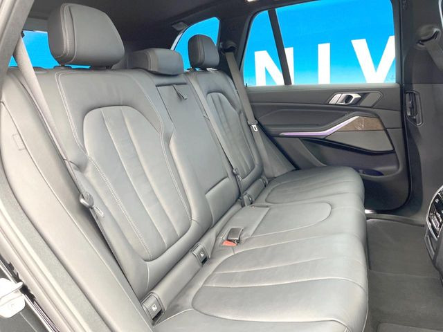 ���㕔���Ȃ��C�ɂȂ�悤�ȃL�Y�E�����ւ��蓙�A�傫�ȃ_���[�W�͂Ȃ��A�ǍD�ȏ�Ԃł��B