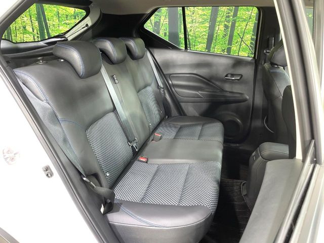 �㕔���Ȃ��C�ɂȂ�悤�ȃL�Y�E�����ւ��蓙�A�傫�ȃ_���[�W�͂Ȃ��A�ǍD�ȏ�Ԃł��B