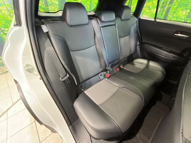 �㕔���Ȃ��C�ɂȂ�悤�ȃL�Y�E�����ւ��蓙�A�傫�ȃ_���[�W�͂Ȃ��A�ǍD�ȏ�Ԃł��B