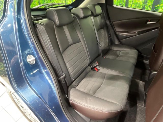 �㕔���Ȃ��C�ɂȂ�悤�ȃL�Y�E�����ւ��蓙�A�傫�ȃ_���[�W�͂Ȃ��A�ǍD�ȏ�Ԃł��B